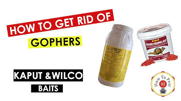 How To Get Rid of Gophers- Wilco Gopher Getter and Kaput-D Gopher Bait - How To Pest