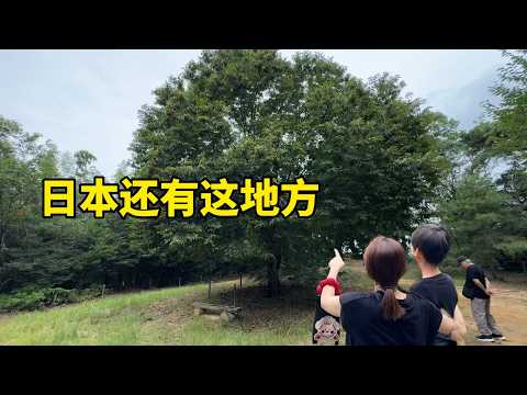[Tuanzi's Life in Japan] My Japanese husband promised me a surprise and took me and Da Hui deep i...