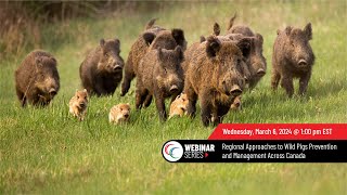 Winter Webinar Series: Wild Pig Prevention and Management Across Canada