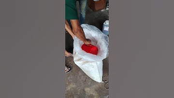 #music #song #youtube #video #tiktok #videos #automobile #funny #viralreels #vlog #quotes #quran