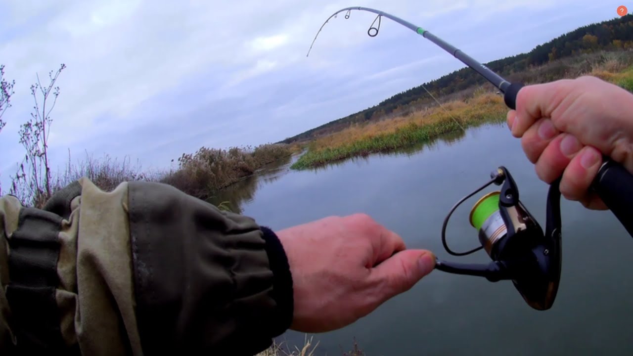 Ловля щуки на малой реке Ирпень