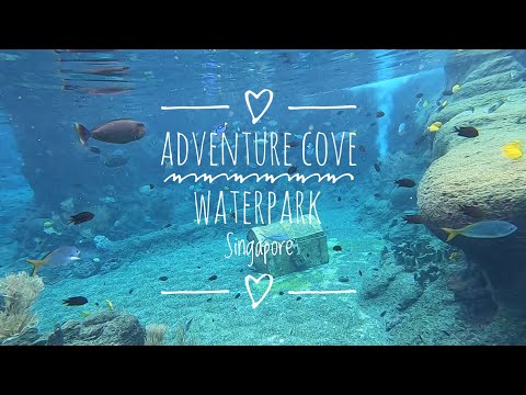 Discover the Secrets of Singapore&#39;s Adventure Cove Waterpark