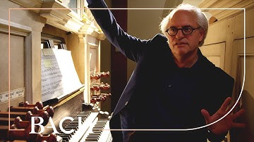 Van Doeselaar over Bach Toccata in d klein BWV 538 | Nederlandse Bachvereniging