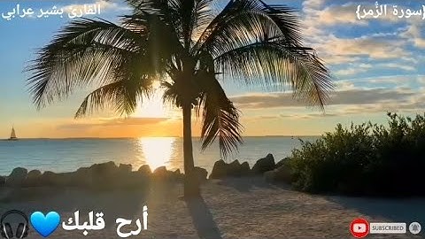 سورة الزُّمر | القارئ بشير عرابي | تلاوة خاشعة | أرح قلبك 💙🎧
