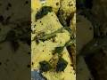 dhokla recipe #recipe #food #cooking #easyrecipe #viralvideo #viral