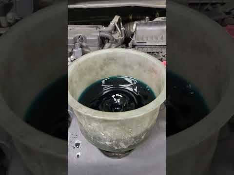 Chug Chug Coolant Whirlpool Shorts Honda Tevideos Coolant