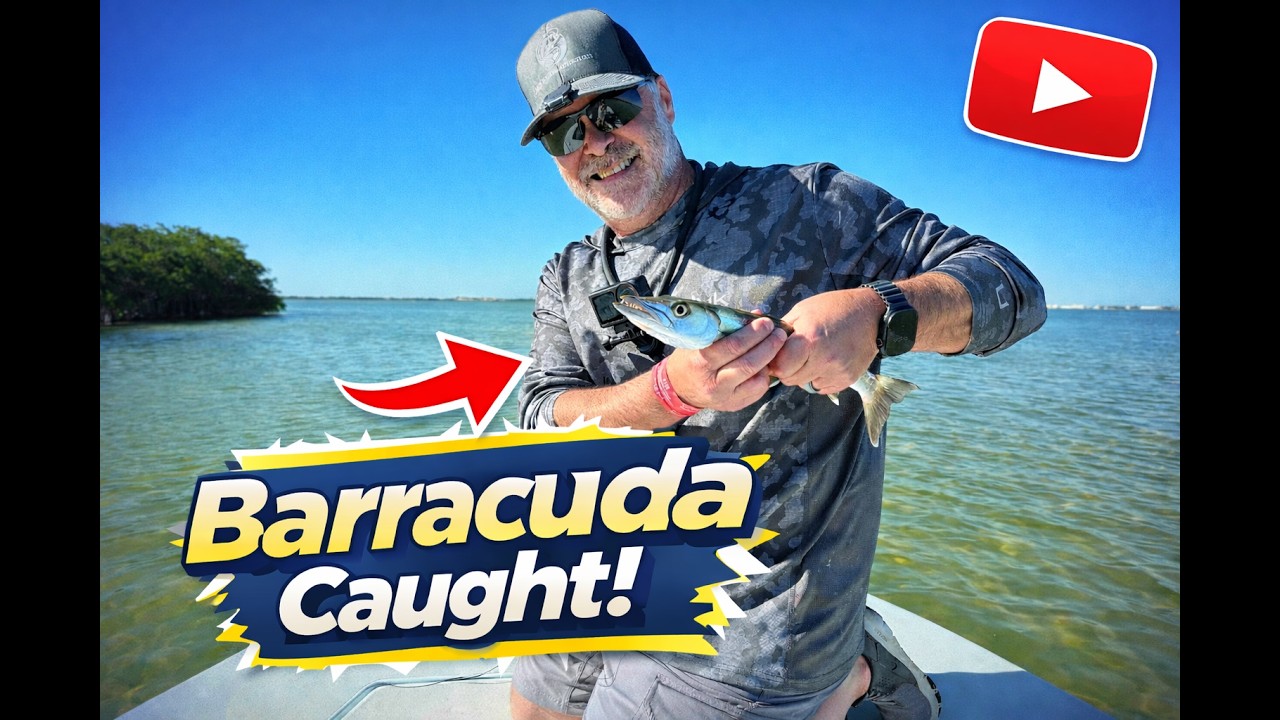 Lagoon Fishing for Razor sharp Barracuda and MORE!