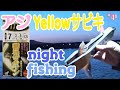 【アジ釣り】来るか来ないか？イエロー蓄光サビキのアピール力！Japan Sabiki fishing by appealing power with yellow luminous skin.