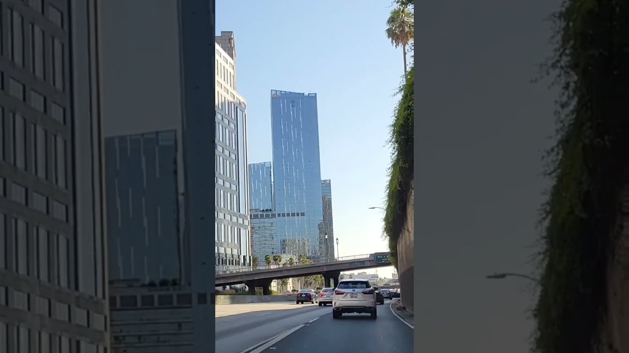Driving Downtown Los Angeles California Shorts