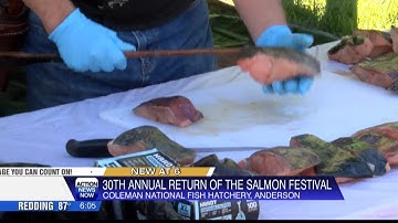 30th annual "Return of the Salmon Festival" takes place at Coleman Fish Hatchery