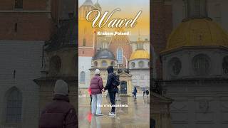 Кто был на экскурсии в Вавеле?😌#krakow#wawel
