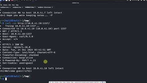 EchoCTF - CTF Beginners Network - The Login of Shame - Web Hacking - HTTP Cookies