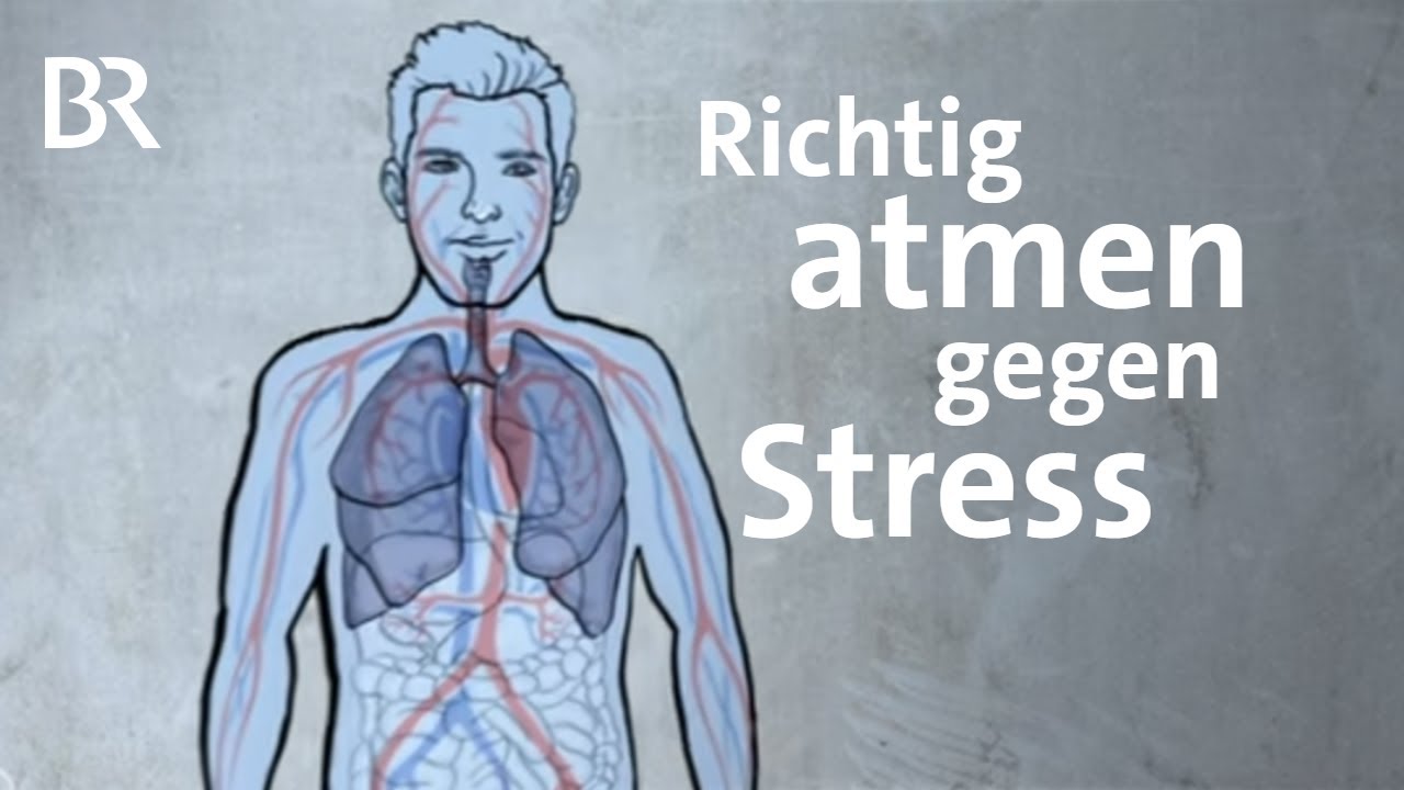 4711 Atmung I DIE alltagstauglichste Atemübung gegen Stress und Bluthochdruck,  immer \u0026 überall