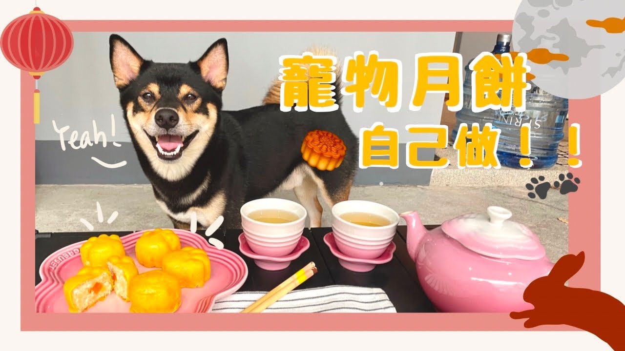【 🐾寵物食譜 】🥮寵物月餅一起做！🐶 狗狗薯仔雞肉月餅 |🦊毛孩鮮食料理  |🎐中秋節小狗美食 | 🌝一起團圓