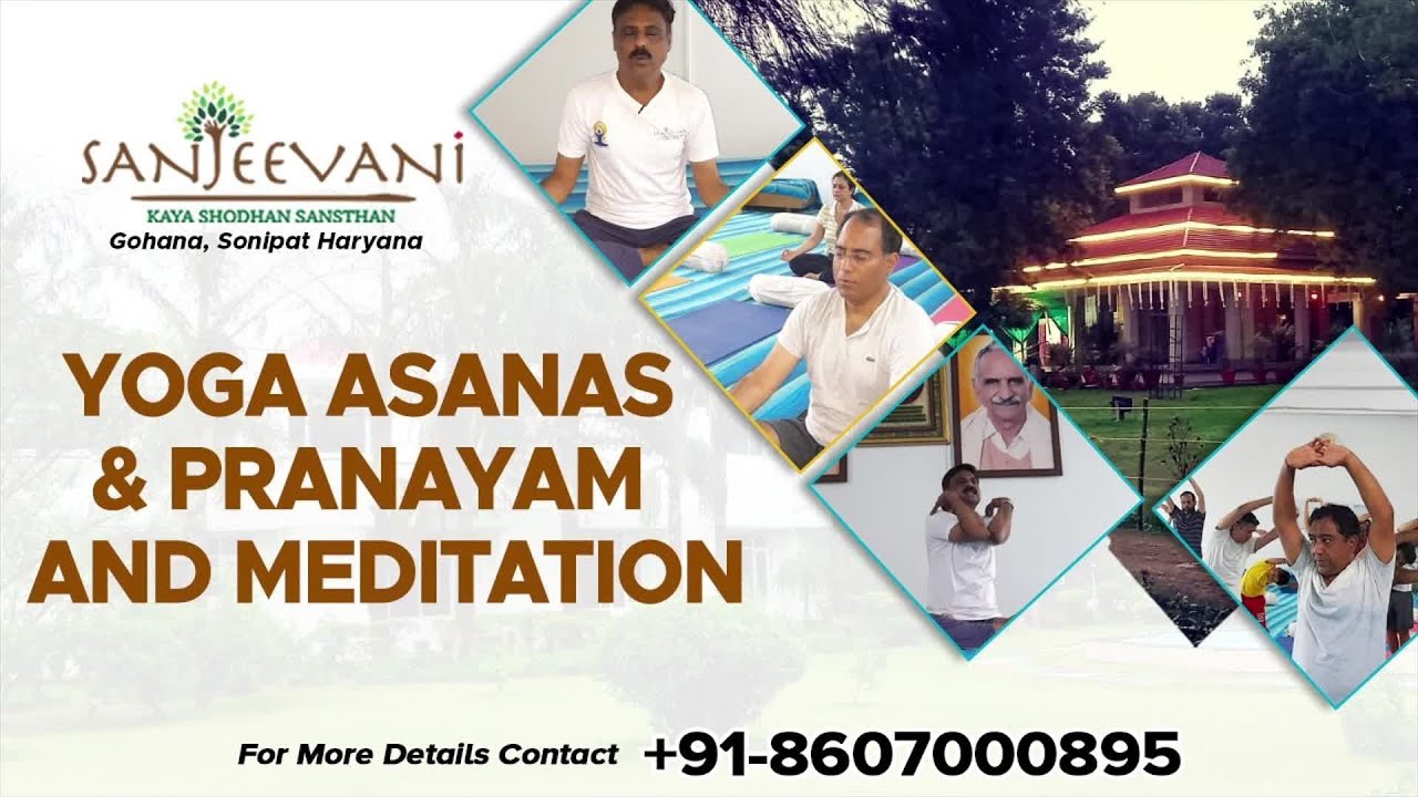 Yoga Online Classes Sanjeevani Naturopathy & Ayurveda Centre By Dr