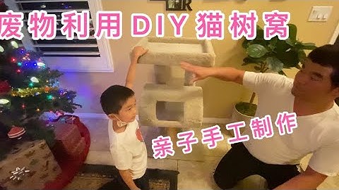 废物利用DIY制作猫树窝，地毯 、木头、纸筒 。很好的亲子手工制作，我的小跟班越来越棒了。