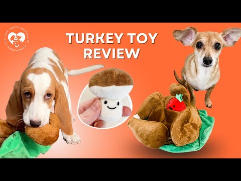 Turkey Plush Dog Snuffle Toy