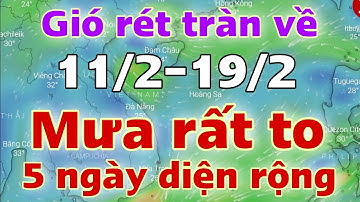 Dự báo thời tiết hôm nay và ngày mai 11/2/2023 | dự báo bão mới nhất | thời tiết 3 ngày tới