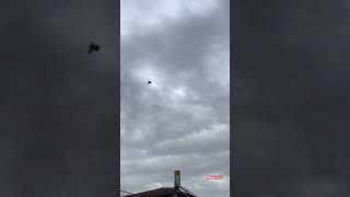 Daha Yeni Başlıyoruz