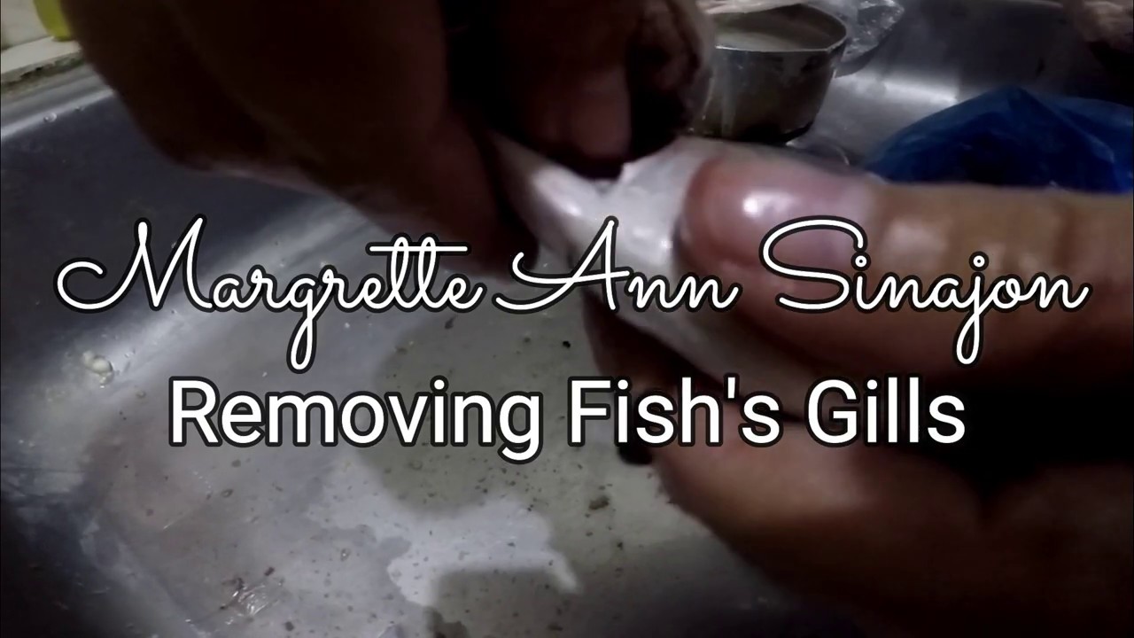 Pagtangtang sa Hasang sa Isda How to Remove fish gills YouTube