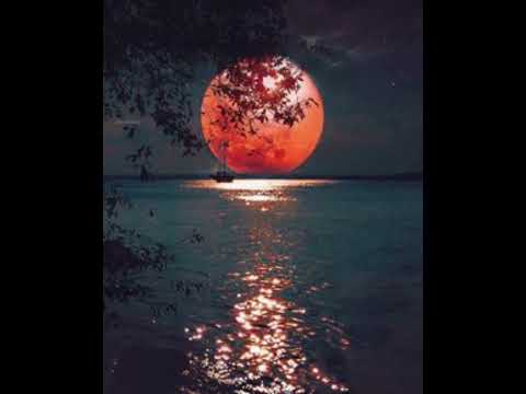 S X N D N X D E S Theme Song Themesong Shortvideo Shorts