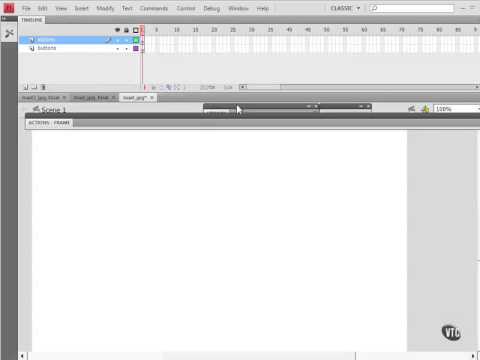 Flash /ActionScript/