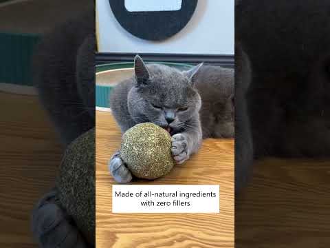 Video: Cuchara para mascotas: Bobcat Kitten rescatada de Brush Fire, Tiger Stuffed Animal Fools oficiales