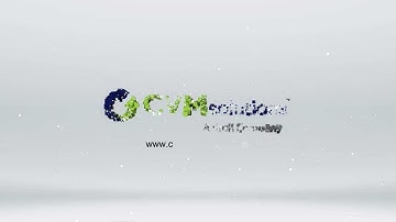 Supplier Diversity Best Practices: Goal Setting