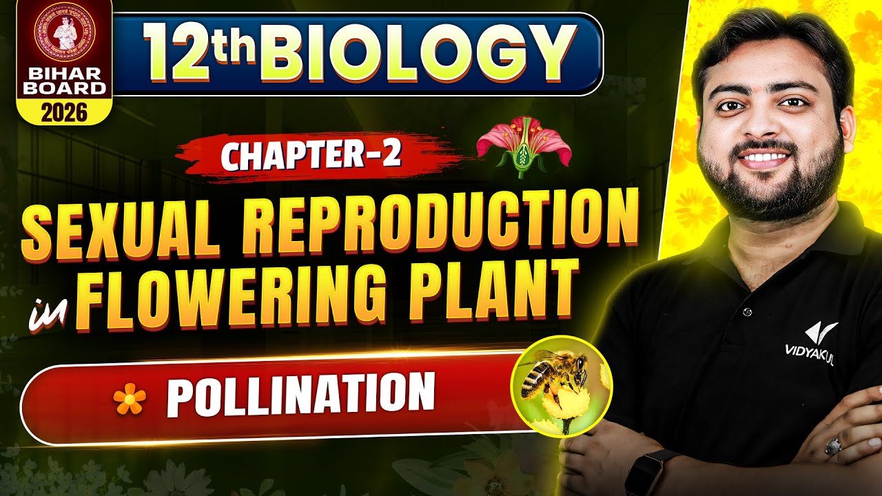 Class 12 Biology Chapter 2 | Sexual Reproduction In Flowering Plants | Pollination | Bihar Board