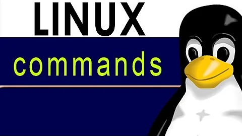 Linux commands: [touch] Using the touch command to update file time and date information