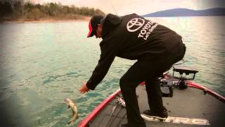 KVD on Choosing Jerkbaits Based on Conditions and Clarity