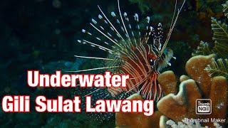 DIVING DI GILI SULAT GILI LAWANG LOMBOK TIMUR