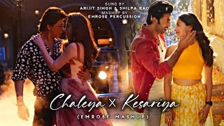Chaleya X Kesariya (Emrose Mashup) | Emrose Percussion | Arijit Singh New Songs | Jawan