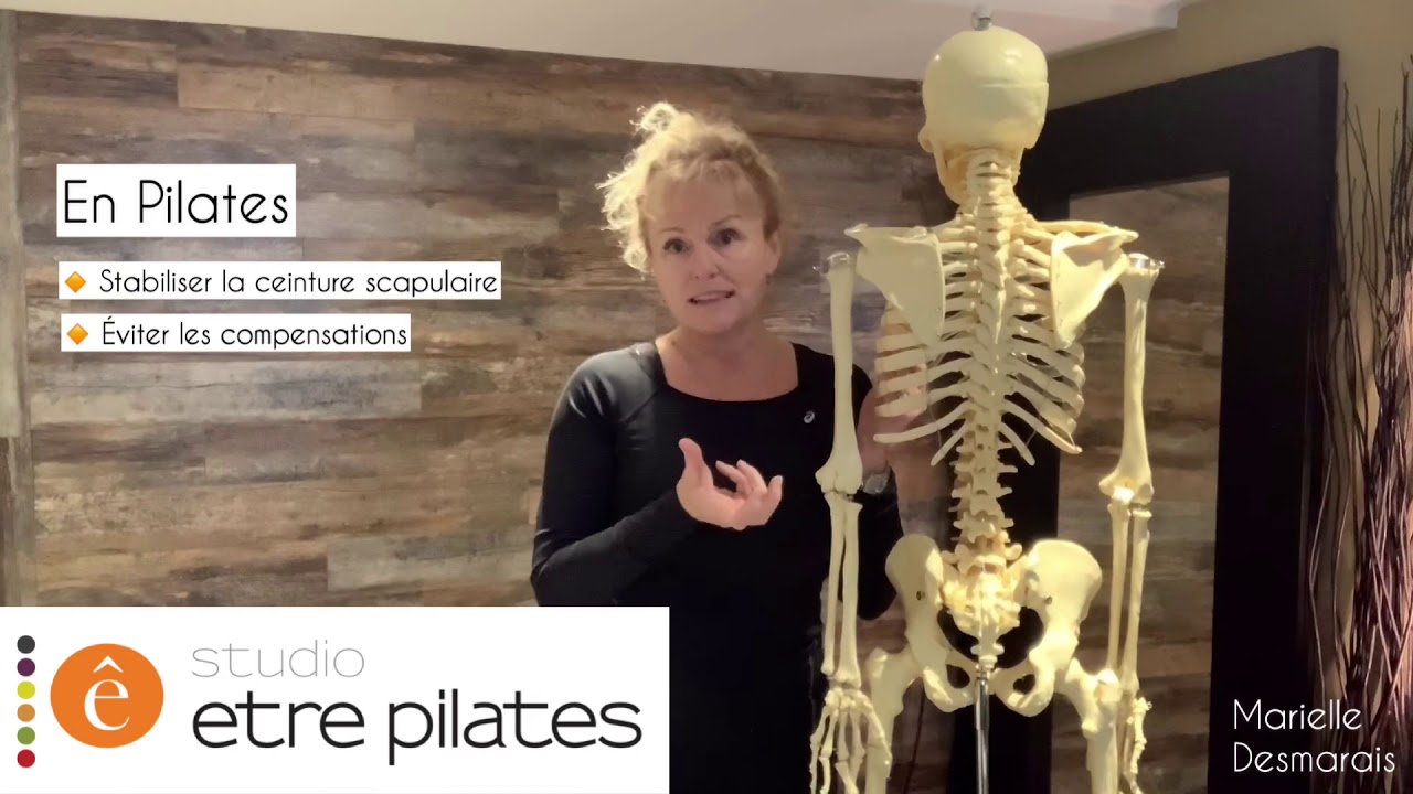 Studio être Pilates. Capsule informative;  La ceinture scapulaire (L’épaule)