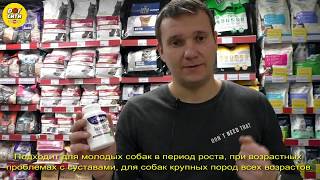 GIGI Активет GIGI Активет
