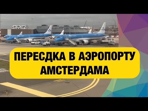 Video: Amsterdam Aeroportiga Qanday Borish Mumkin