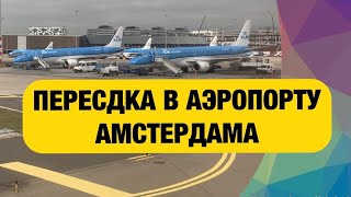 Амстердам: лучший аэропорт для пересадки. Schiphol Amsterdam Airport (AMS). Перелёт из Канады в ЕС