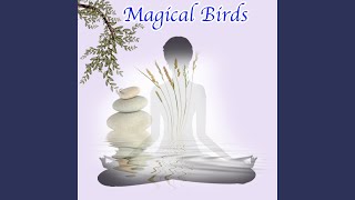 Magical Birds