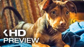 A DOG'S WAY HOME  First 10 Minutes Preview & Trailer (2019)