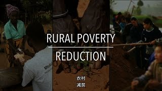 FAO 政策系列: 农村减贫（带字幕）