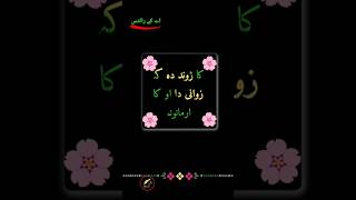 Pashto lines #editpoint #edit #editing #pashtosong #viralvideo #editingsoftware #picsart #editsuite