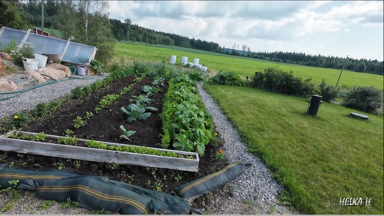 Metsän ja kasvimaan antia