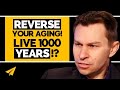 The SECRET to IMMORTALITY | David Sinclair's REVOLUTIONARY RESEARCH | #BelieveLife