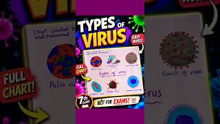 Types of Virus Chart 📊 | Polio, Covid-19, Hepatitis B | Easy Science Art @biologywithilyas2535