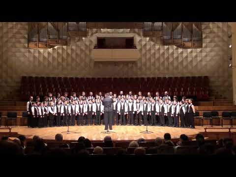 „დრო“ (კომპოზ. ლ. ნემსაძე), “მძლევარი”/Mdzlevari, 17.06.2018