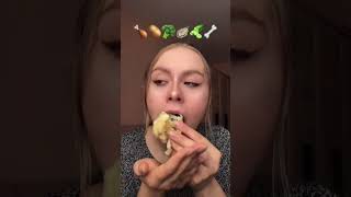 Jaki Kraj Takie Asmr