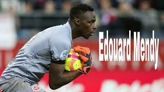 Edouard Mendy - the best saves