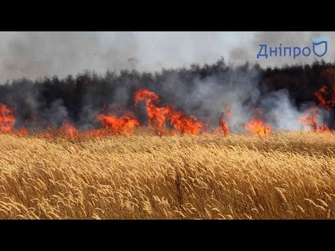 Пожежа у Дніпропетровській області: горять поля