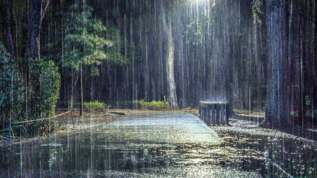 Heavy Rain for Insomnia, The Deep Comfort You Need | Rain Sounds ...