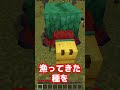 マイクラあるある　part229